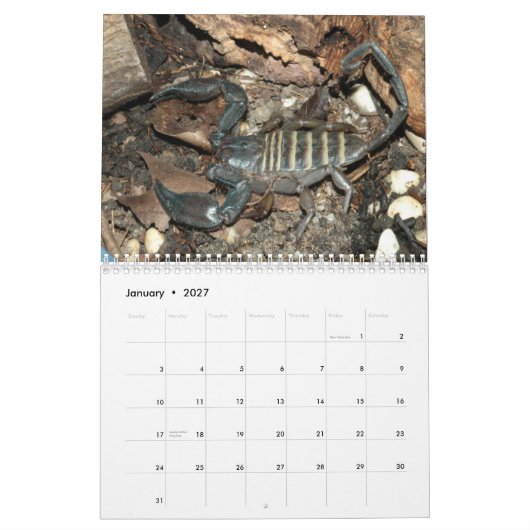 Scorpions Wall Agenda Kalender (Jan 2027)
