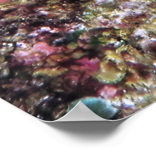 Scorpionvis dicht poster (Hoek)