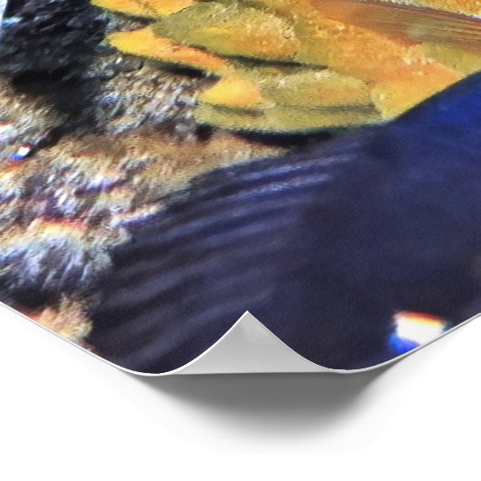 Scorpionvis op gele sponge poster (Hoek)