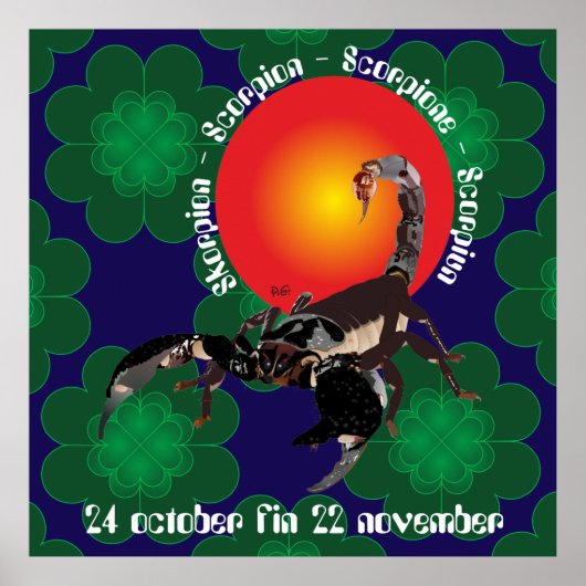 Scorpiun 24 oktober fin 22 november Poster (Voorkant)