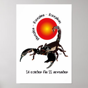 Scorpiun 24 oktober fin 22 november Poster