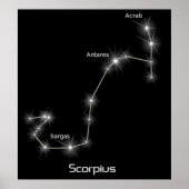 Scorpius Constellation Scorpio Zodiac Business Poster (Voorkant)