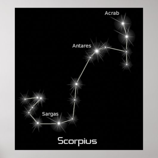 Scorpius Constellation Scorpio Zodiac Business Poster (Voorkant)
