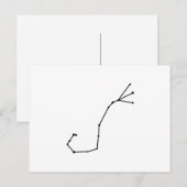 Scorpius Zodiac-Briefkaart Briefkaart (Voorkant / Achterkant)