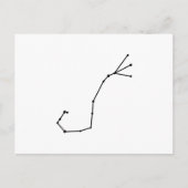 Scorpius Zodiac-Briefkaart Briefkaart (Voorkant)