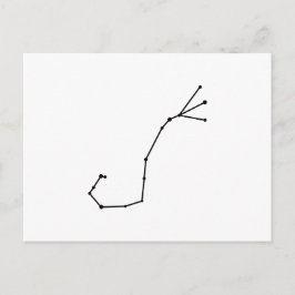 Scorpius Zodiac-Briefkaart Briefkaart