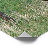 Scotch and Flashy Trot Towards Camera Poster (Hoek)