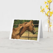 Scotch, Birthday Kaart (Gele Bloem)