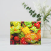 Scotch Bonnet Chili Peppers Briefkaart (Staand voorkant)