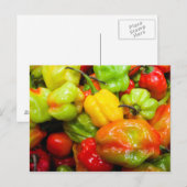 Scotch Bonnet Chili Peppers Briefkaart (Voorkant / Achterkant)