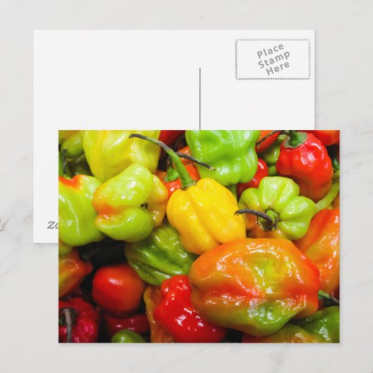 Scotch Bonnet Chili Peppers Briefkaart (Voorkant / Achterkant)