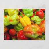 Scotch Bonnet Chili Peppers Briefkaart (Voorkant)