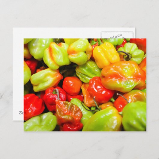 Scotch Bonnet Chili Peppers Briefkaart (Voorkant / Achterkant)