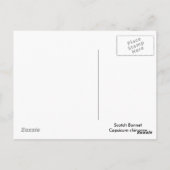 Scotch Bonnet Chili Peppers Briefkaart (Achterkant)