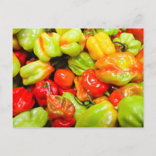 Scotch Bonnet Chili Peppers Briefkaart