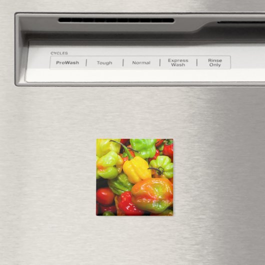 Scotch Bonnet Magneet (Insitu (Vaatwasser))