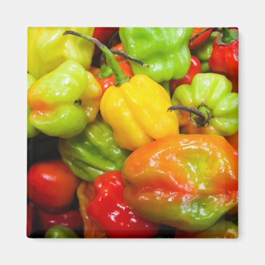 Scotch Bonnet Magneet (Voorkant)