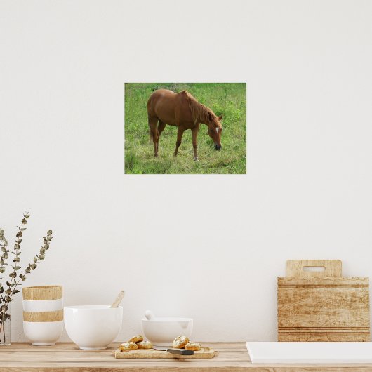 Scotch Eats Poster (Keuken)