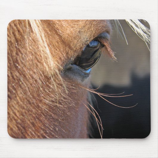 Scotch Extreme Closeup Muismat (Voorkant)