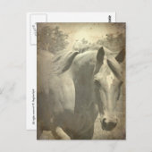 Scotch Faux  Briefkaart (Voorkant / Achterkant)