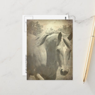 Scotch Faux  Briefkaart