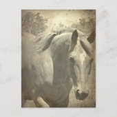 Scotch Faux  Briefkaart (Voorkant)