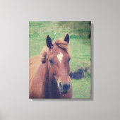 Scotch Grunge Canvas Afdruk (Voorkant)