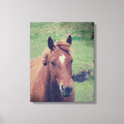 Scotch Grunge Canvas Afdruk (Voorkant)