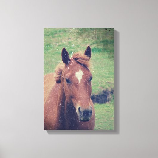 Scotch Grunge Canvas Afdruk (Voorkant)
