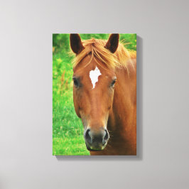 Scotch Head Shot Canvas Afdruk