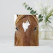 Scotch het jaarling paard briefkaart (Staand voorkant)