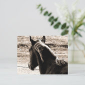 Scotch in Brown Tones Briefkaart (Staand voorkant)