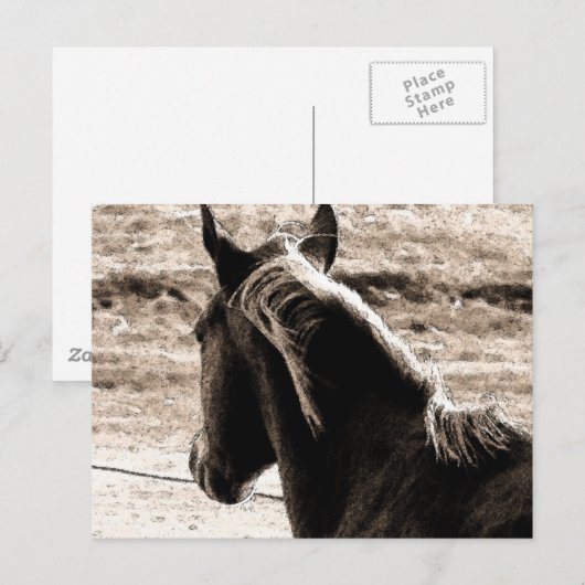 Scotch in Brown Tones Briefkaart (Voorkant / Achterkant)