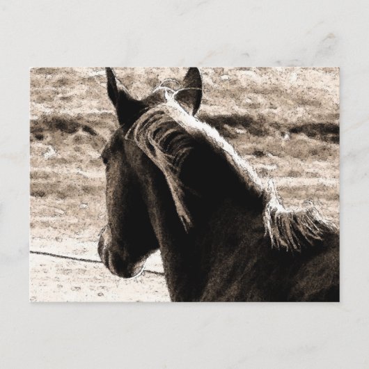 Scotch in Brown Tones Briefkaart (Voorkant)