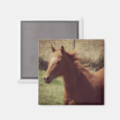 Scotch in Motion Magneet (Voorkant / Achterkant)