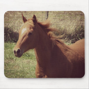 Scotch in Motion Muismat