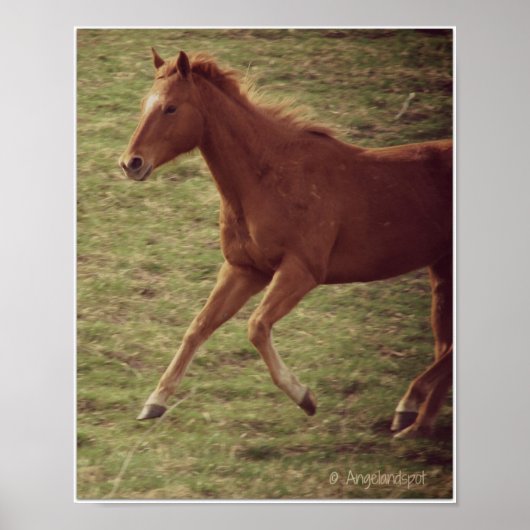 Scotch in Motion Poster (Voorkant)