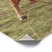 Scotch in Motion Poster (Hoek)