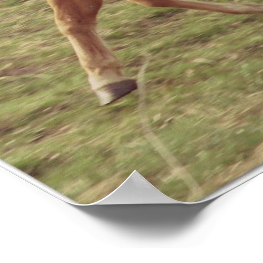 Scotch in Motion Poster (Hoek)