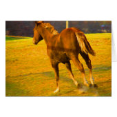 Scotch Run~ Oil Painting (Voorkant Horizontaal)