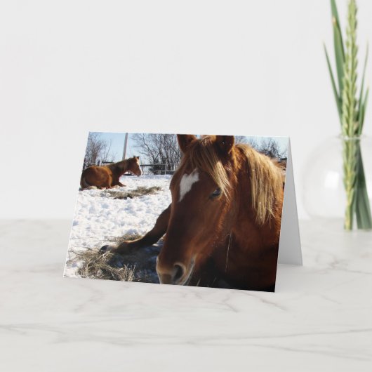 Scotch Slapeps Kaart (Voorkant)