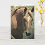 Scotch The Horse, Birthday Kaart (Gele Bloem)