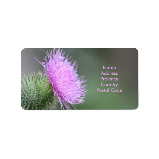 Scotch Thistle Label (Voorkant)