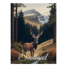 Scotland Deer in the Forest Travel Poster