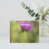 Scotland Thistle Briefkaart (Staand voorkant)