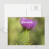 Scotland Thistle Briefkaart (Voorkant / Achterkant)