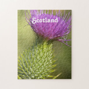 Scotland Thistle Legpuzzel
