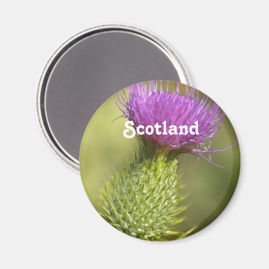 Scotland Thistle Magneet (Voorkant / Achterkant)