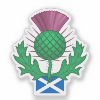 Scotland Thistle Sticker