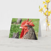 Scots Grey Rooster | Blank Kaart (Gele Bloem)